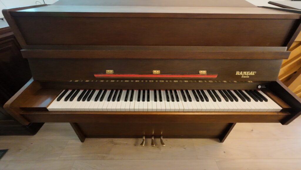 Rameau Beaucaire 114