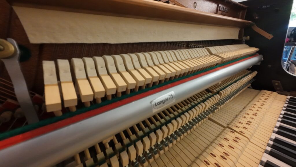 Rameau Beaucaire 114