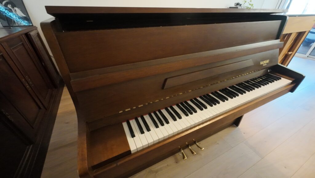 Rameau Beaucaire 114