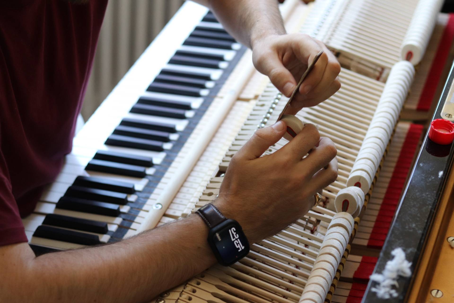Harmonisation